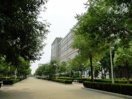 学校一角