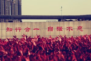 学校校训