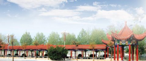 学校环境