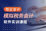 模拟税务会计软件实训