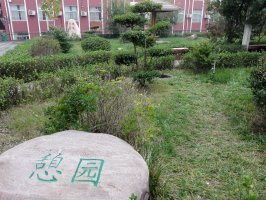 校园一角