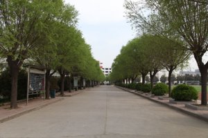 校园一角