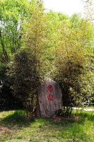 校园一角