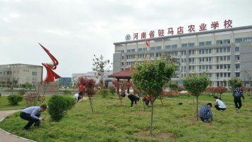 校园一角