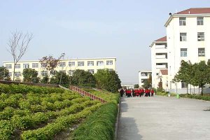 校园一角