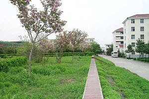 校园一角