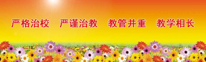 banner图