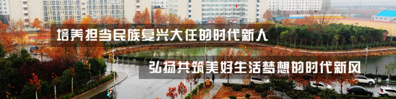banner图