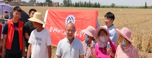 banner图
