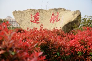校园一角