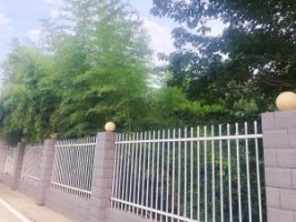校园一角