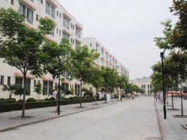 校园一角