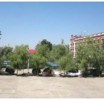 校园