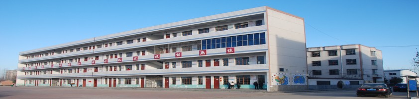 banner图