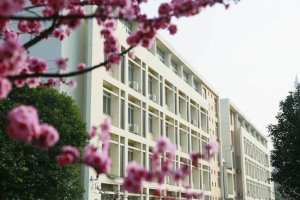 校园一角