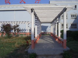 校园一角