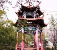 校园一角