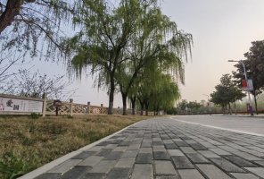 校园一角