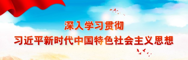 banner图