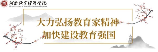 banner图