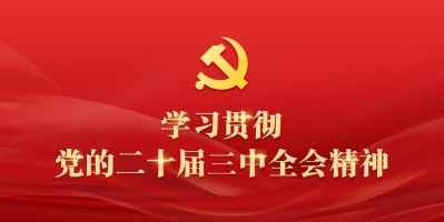 banner图