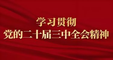 banner图