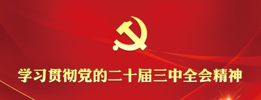 banner图
