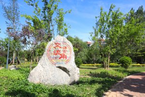 校园环境