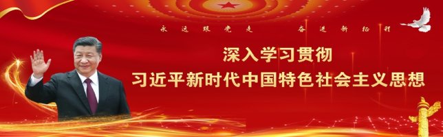 banner图