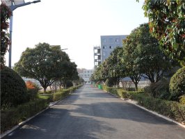 校园环境