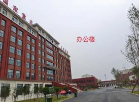 校园环境