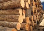 木材加工专业